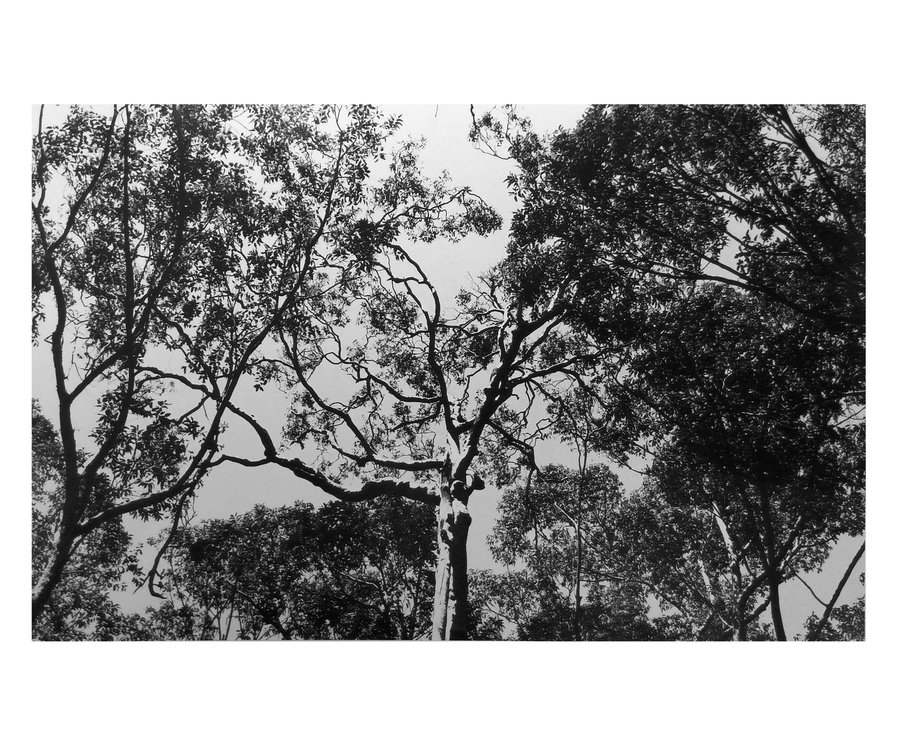 A Stroll Along the Sea — photographie 12