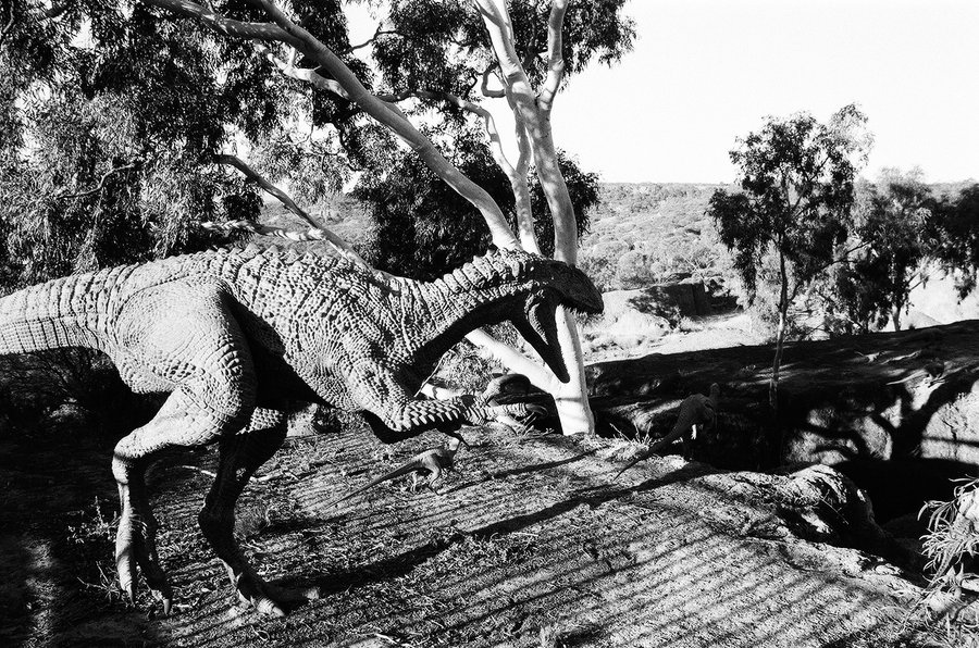 Dinos Alive — photographie 5