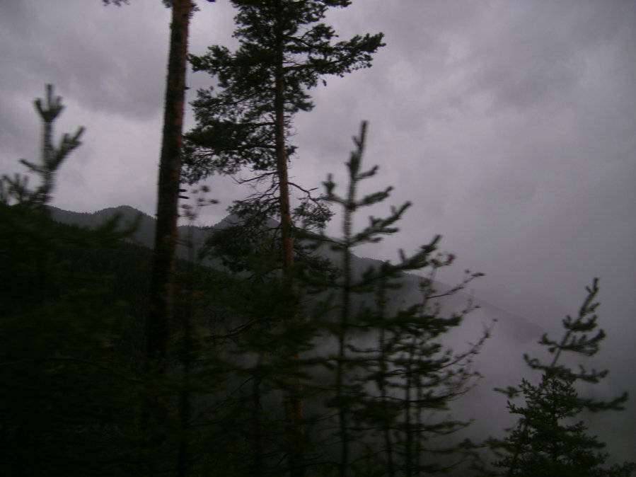 En chemin — photographie 9