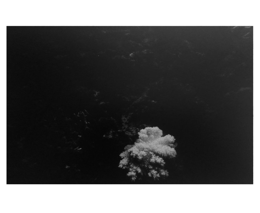Euphotique — photographie 3