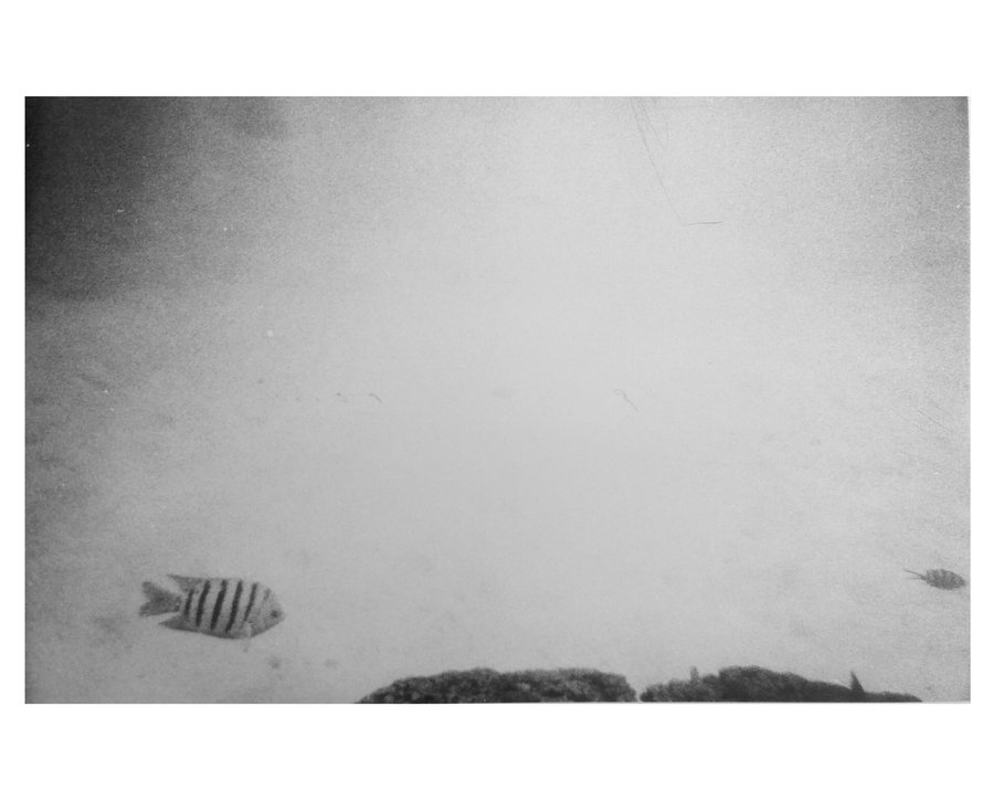 Euphotique — photographie 5