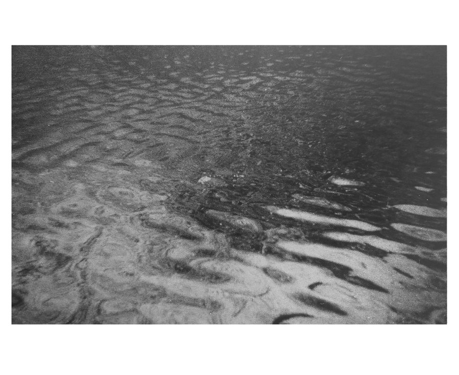 Euphotique — photographie 9