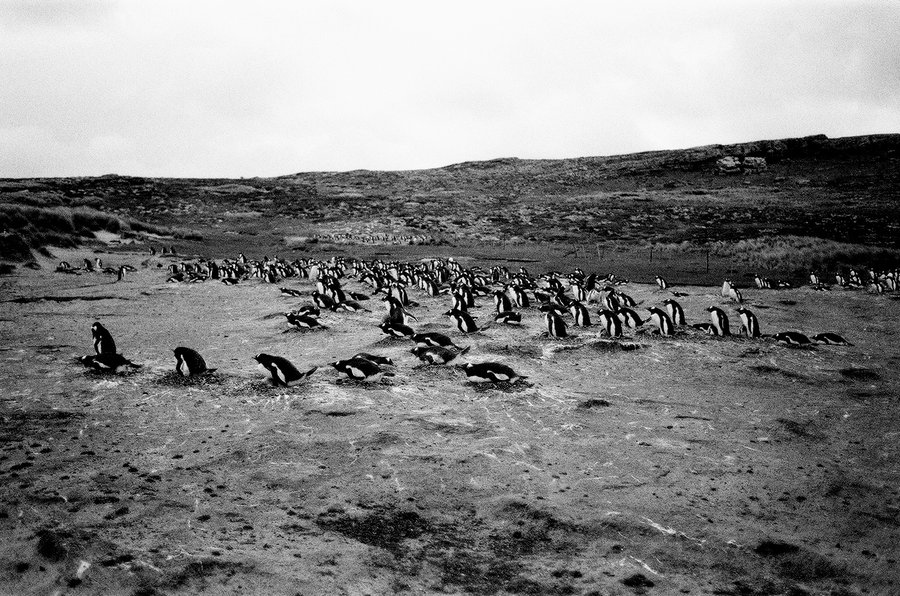 From the North to the South — photographie 15
