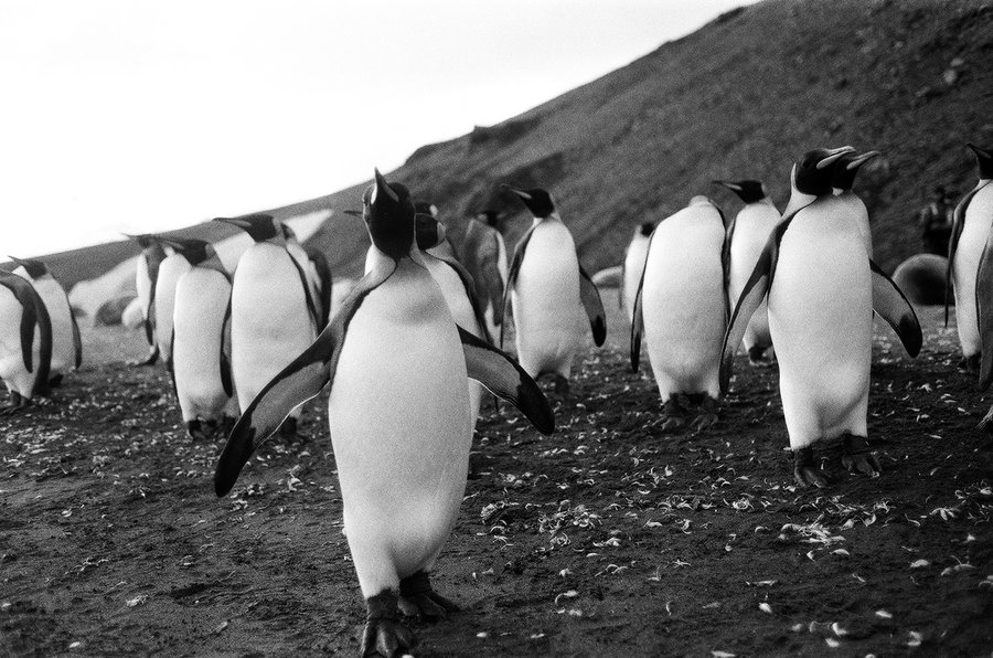 From the North to the South — photographie 16