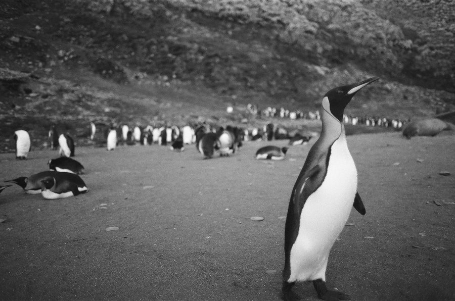 From the North to the South — photographie 17