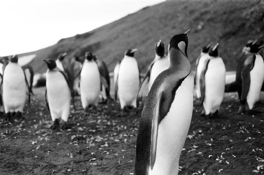 From the North to the South — photographie 18