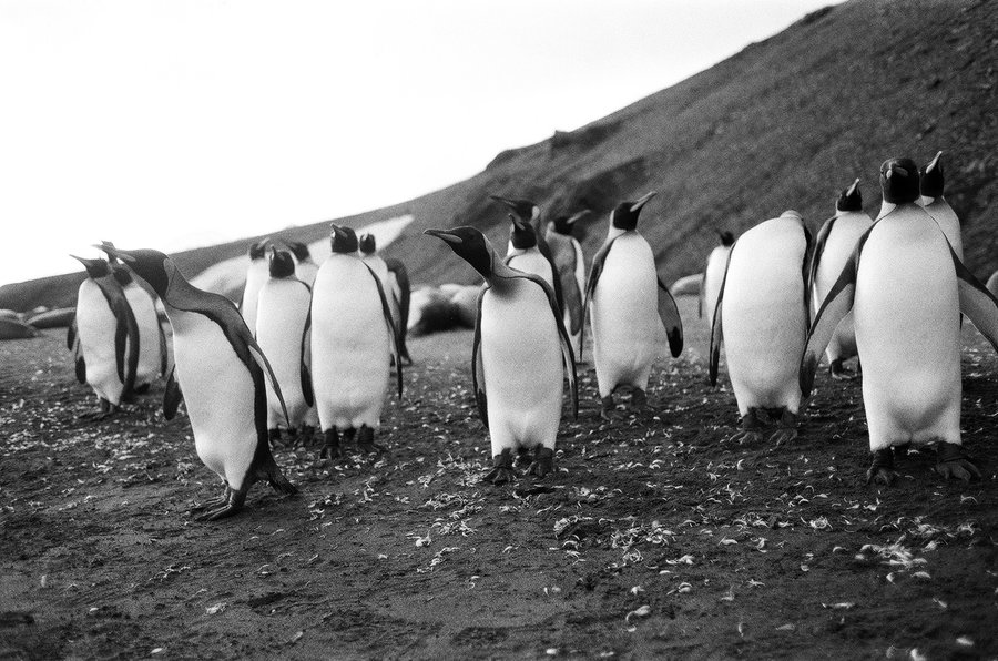 From the North to the South — photographie 19