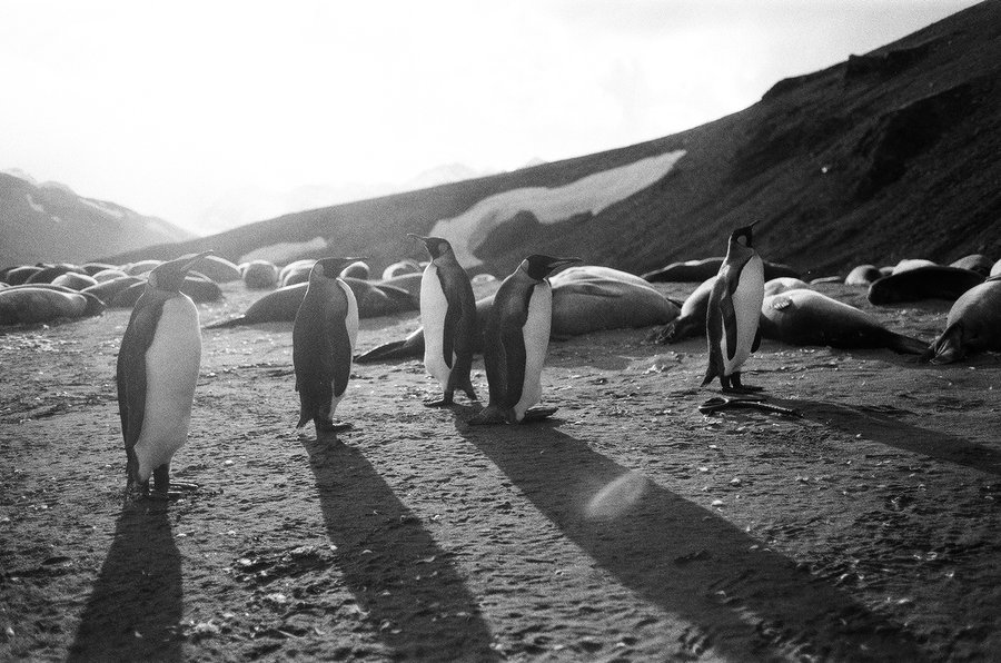 From the North to the South — photographie 20