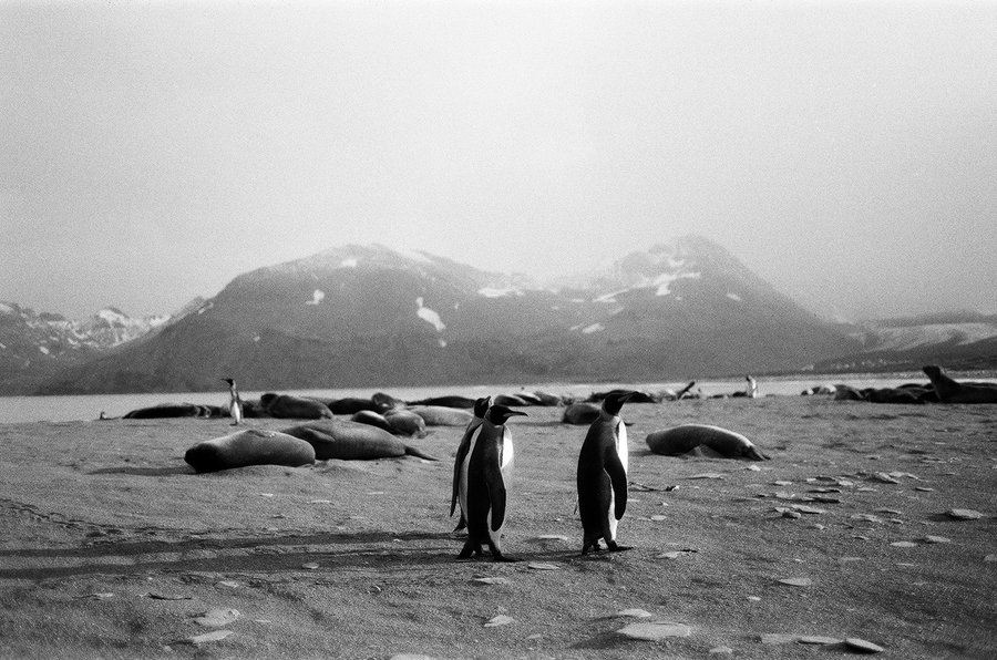 From the North to the South — photographie 21