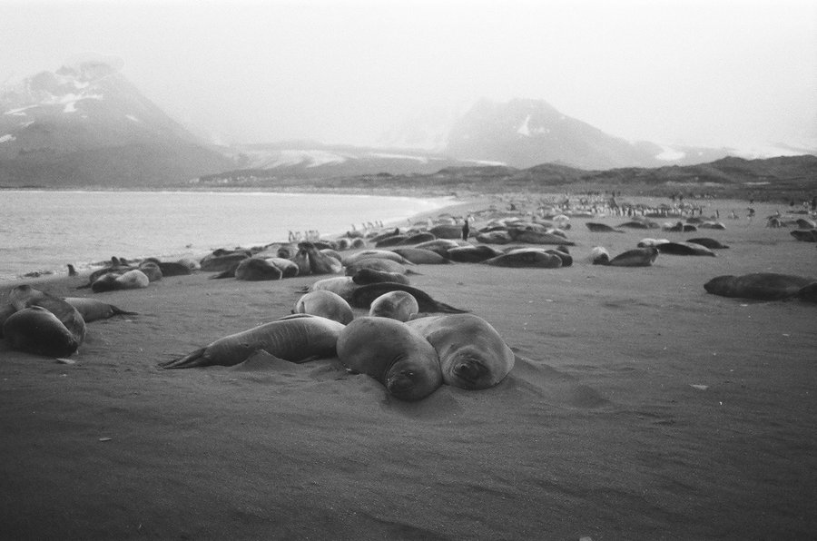 From the North to the South — photographie 23