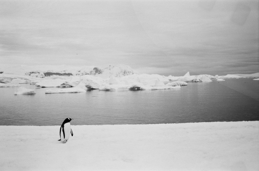 From the North to the South — photographie 28