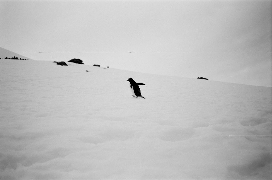 From the North to the South — photographie 29