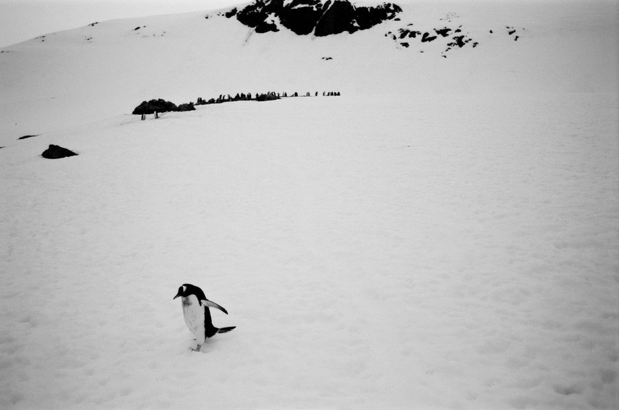 From the North to the South — photographie 30
