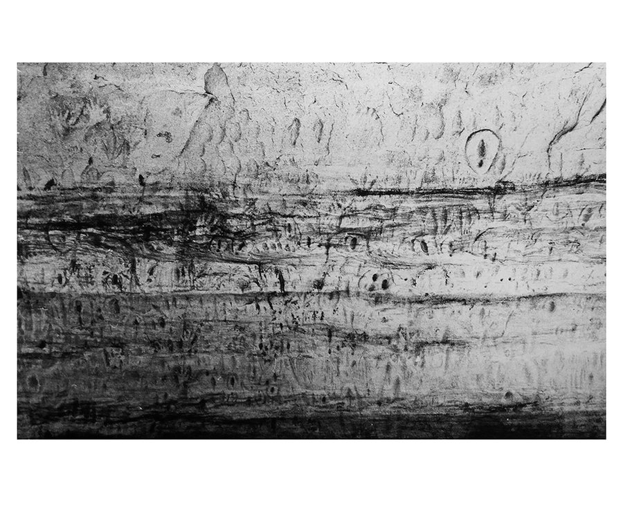Mundagarra — photographie 8