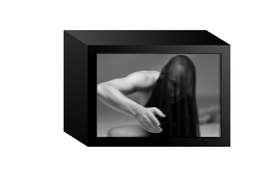 La Photostéréosynthèse, #0 Prototype — photographie 31