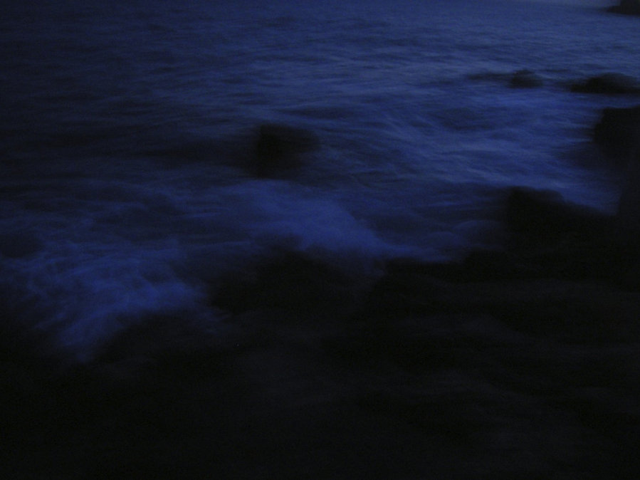 The Blue’s