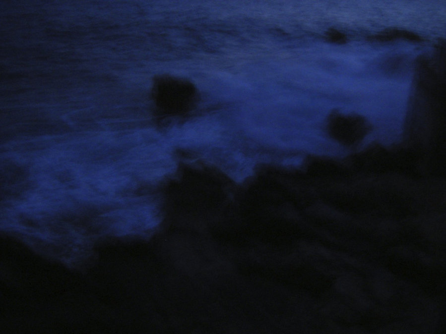 The Blue’s — photographie 2