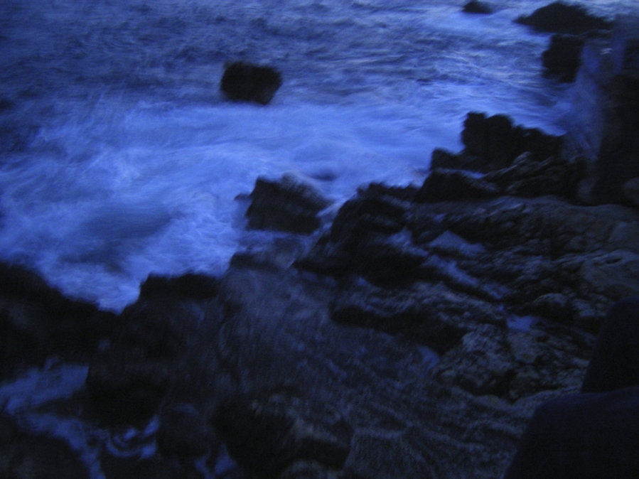 The Blue’s — photographie 4