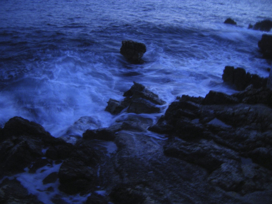 The Blue’s — photographie 5