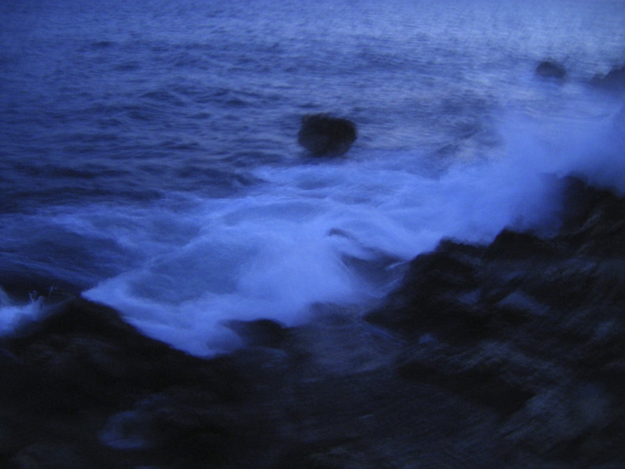 The Blue’s — photographie 6