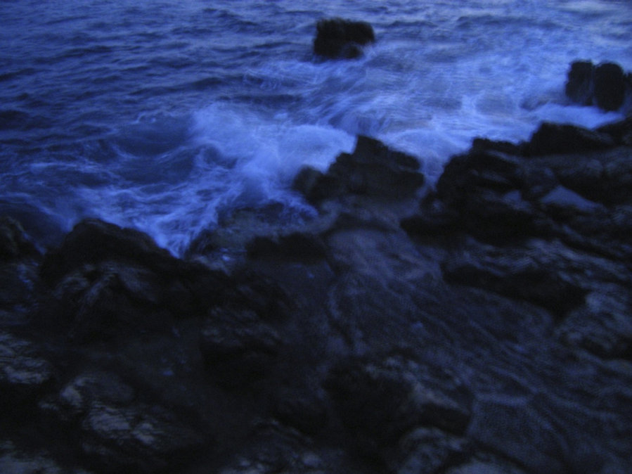 The Blue’s — photographie 9