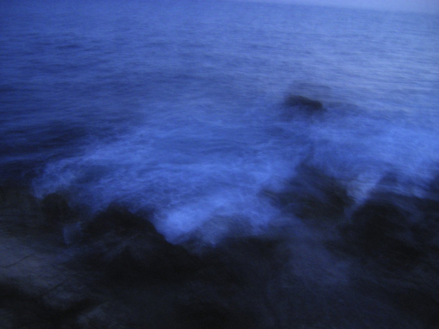 The Blue’s — photographie 10
